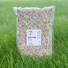 Load image into Gallery viewer, Hatomugi, Job&#39;s Tears
