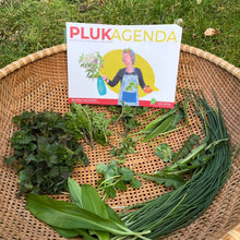 Load image into Gallery viewer, Plukagenda, B. van Doorn, 200 pagina's en 80 recepten, in Dutch
