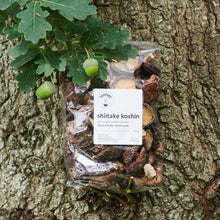 Load image into Gallery viewer, Shiitake Mushrooms Koshin *, Dried &amp; Whole

