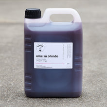 Load image into Gallery viewer, Umeboshi Vinegar Ohindo, With Shiso Leaves
